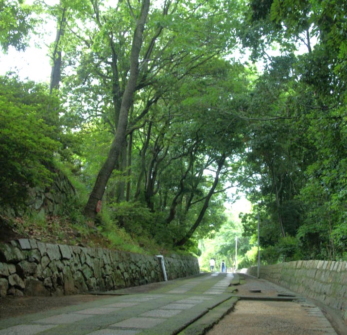 阿智神社の西の参道の風景