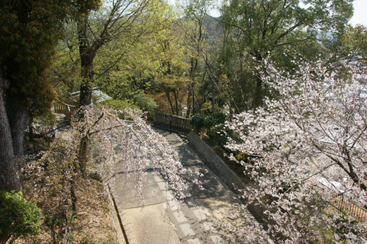 阿智神社の絵馬殿下の風景