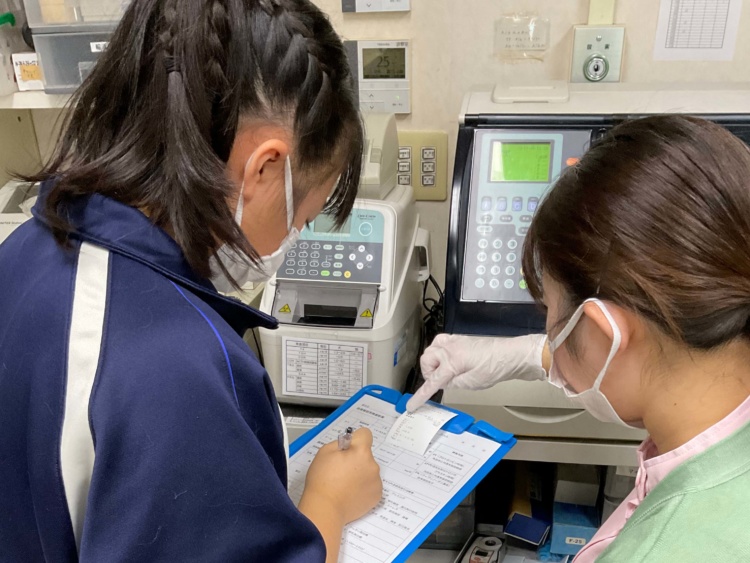 動物病院で職業体験をする愛徳学園中学校・高等学校の生徒