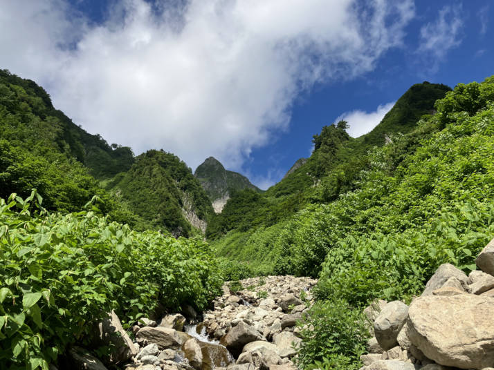 長野県北安曇郡小谷村にある雨飾高原キャンプ場の利用者が登山中に見た景色