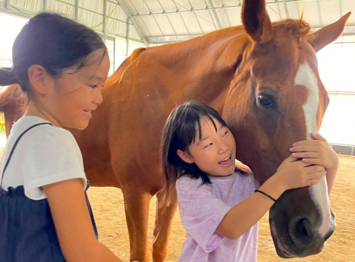 「あんらいえんホース」の生徒と馬が触れ合う様子