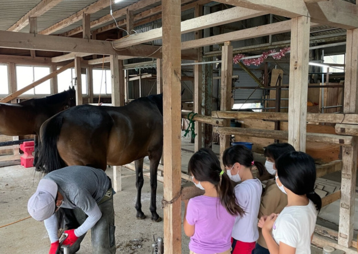 「あんらいえんホース」の生徒が馬を見ている様子