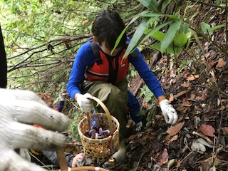 水上キャンプ場Tipiでのきのこ狩り体験の様子