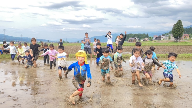 child’s体操教室の「LEARNING PROJECT」田植え体験の様子