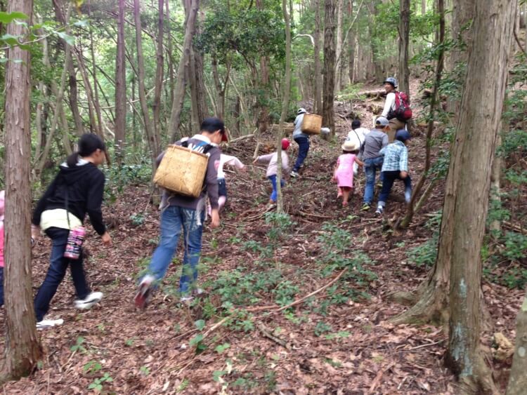 篠山チルドレンズミュージアムのワークショップで山を散策しているところ