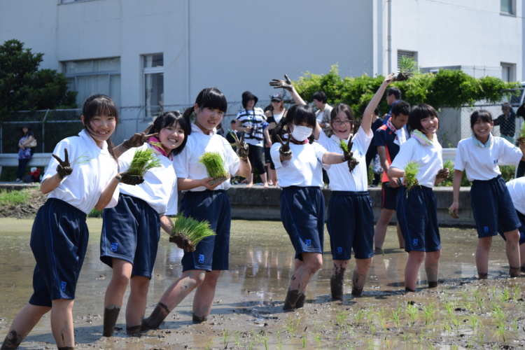 田植え体験を楽しむ中学1年生の生徒たち