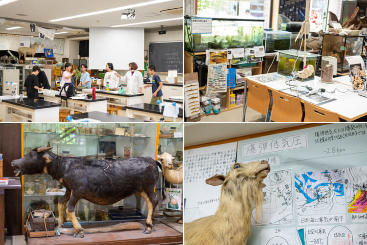 同志社中学校の専門教室と関連する展示