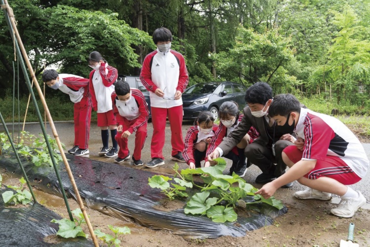 「千葉明徳中学校・高等学校」内にある畑