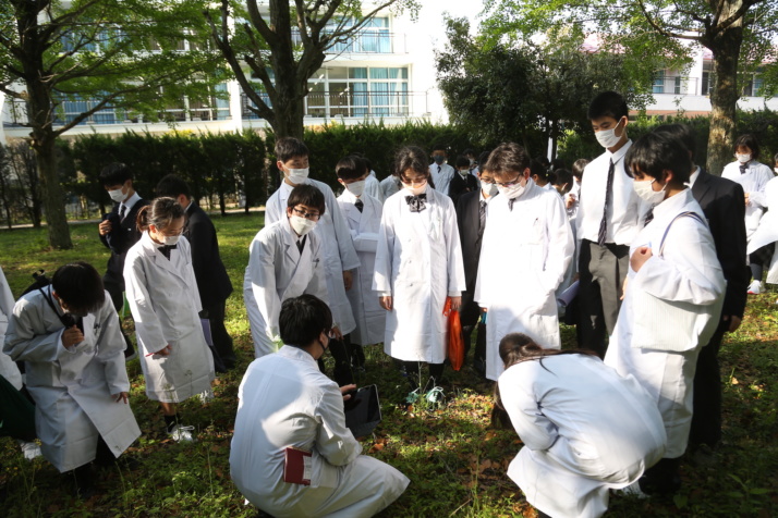 穎明館中学高等学校の理科の自然観察の授業風景