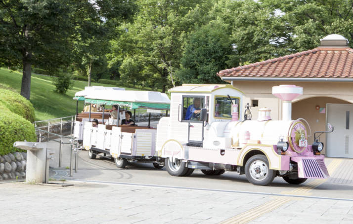 「笛吹川フルーツ公園」内を走る白い汽車