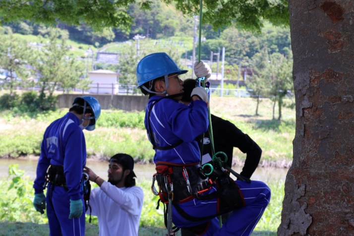 宮城教育大学附属中学校の2年生が木にのぼるようす