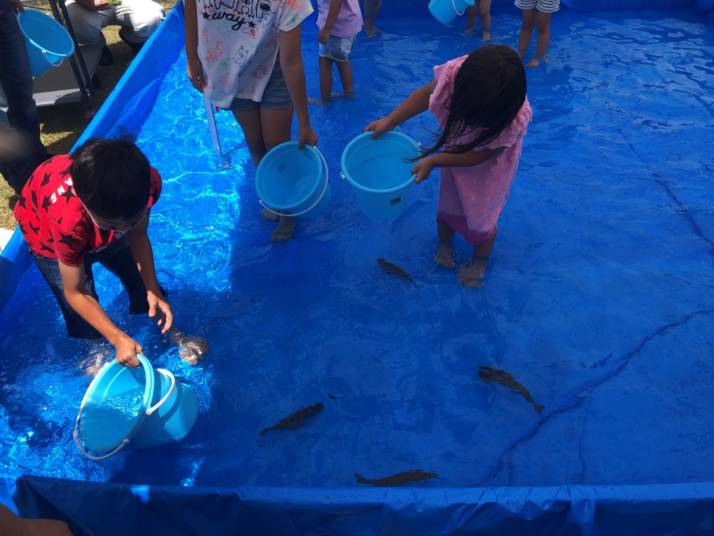 「道の駅 藤川宿」で行われる夏のイベント「ニジマスのつかみ取り」