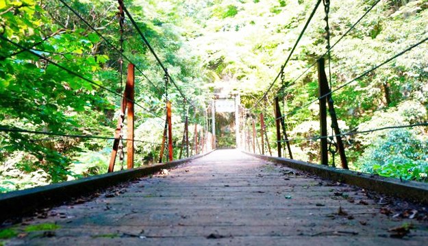 緑と太陽の丘キャンプ場の周辺の橋