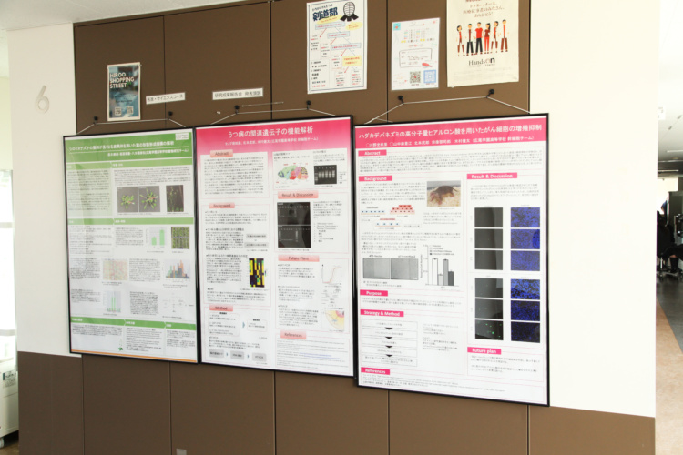 広尾学園中学校・高等学校の医進・サイエンスコースの成果発表