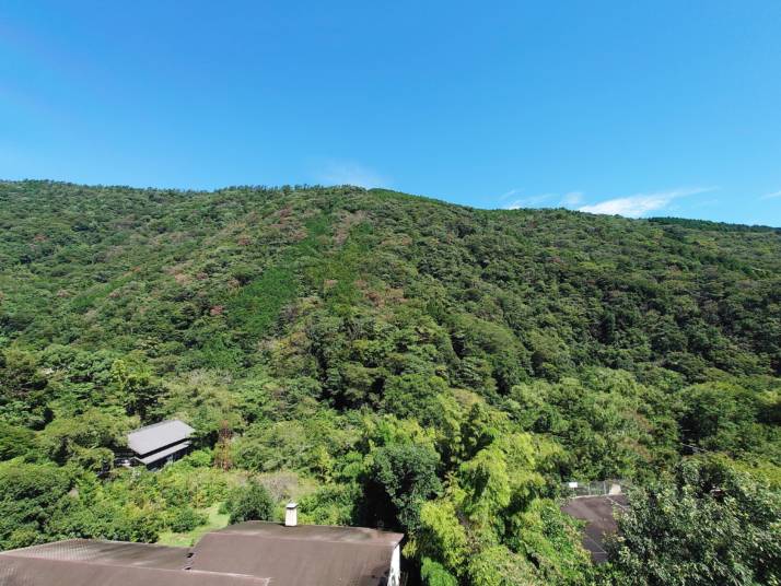 豊栄荘から見える湯坂山の風景