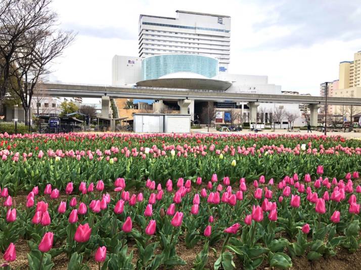 兵庫県神戸市にあるホテルプラザ神戸の昼の外観