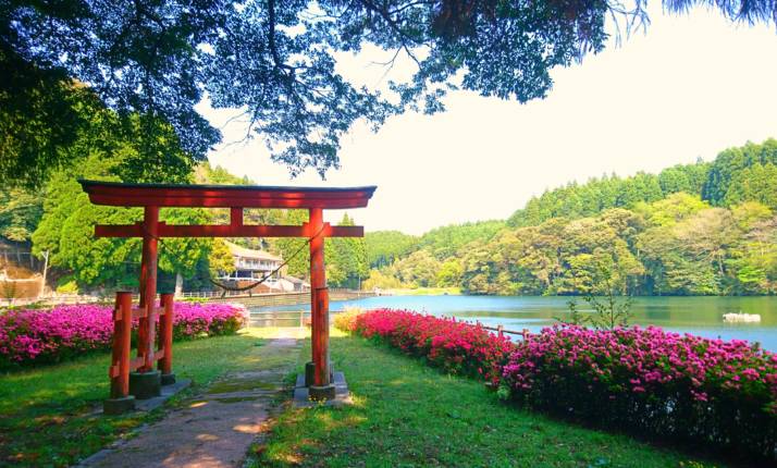 宮崎県小林市にある出の山淡水魚水族館の近くにある鳥居