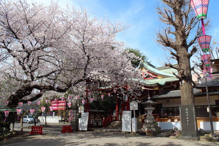 居木神社の境内の写真