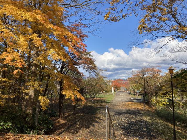 北海道岩内郡にある岩内神社から伸びる一本道