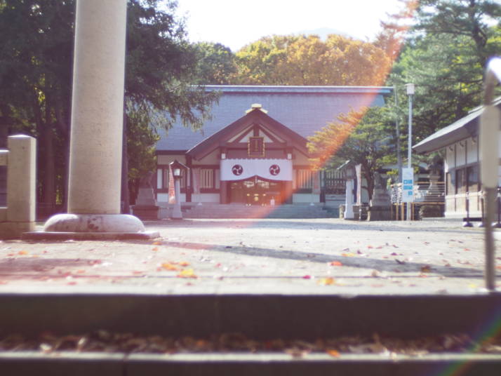 北海道岩内郡にある岩内神社の境内に光が降り注ぐ様子