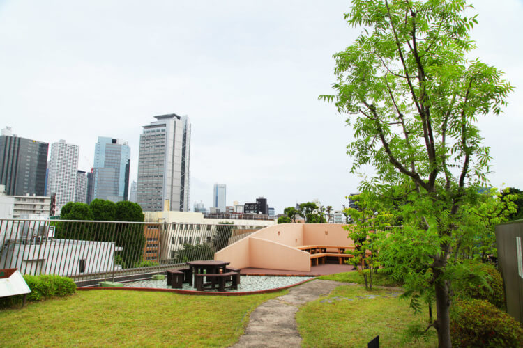 実践学園中学・高等学校の屋上にある「実践の森」