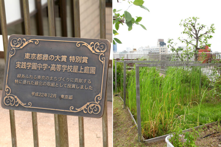 実践学園中学・高等学校の屋上にある「実践の森」