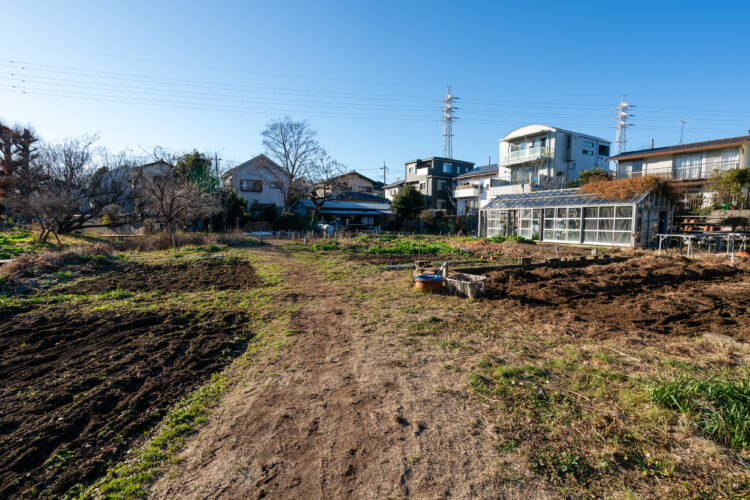 キャンパス内にある畑