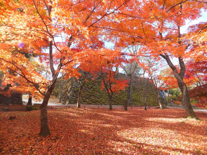 小諸城址懐古園の紅葉の様子