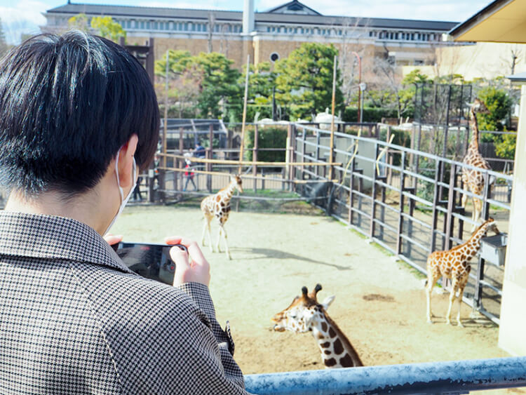 「野生動物学初歩実習」に参加した生徒がキリンを撮影するようす