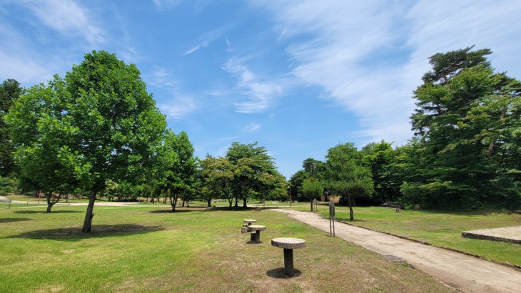 神鍋高原キャンプ場の広大な敷地の風景