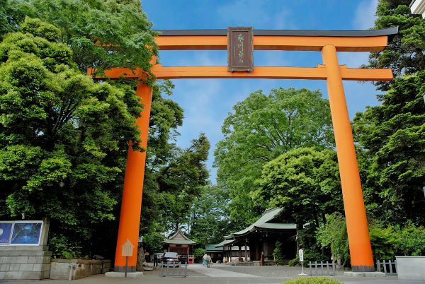 川越氷川神社の大鳥居