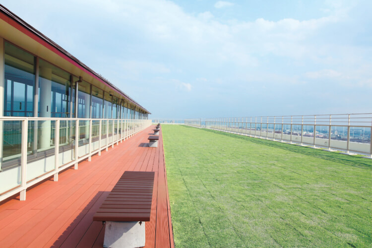 甲南女子中学校・高等学校の屋上風景