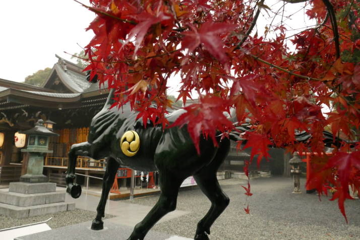 琴崎八幡宮の境内の様子