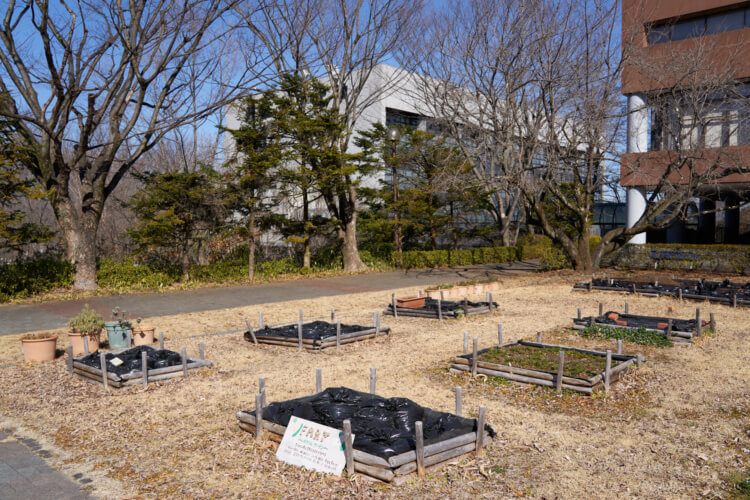 共立女子第二中学校高等学校のポタジェガーデン