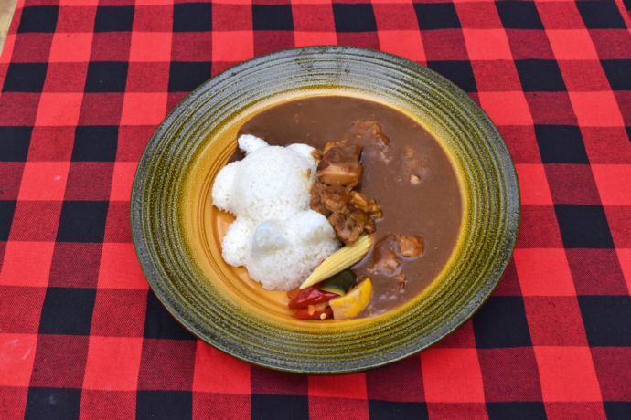 群馬サファリパークのライオンカレー