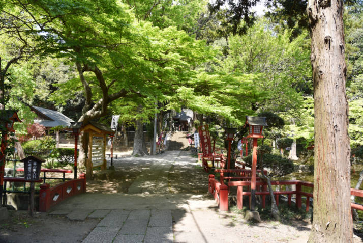 間々田八幡宮境内の緑の風景