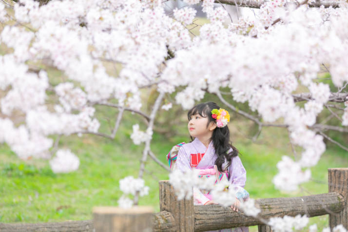 間々田八幡宮の桜の風景