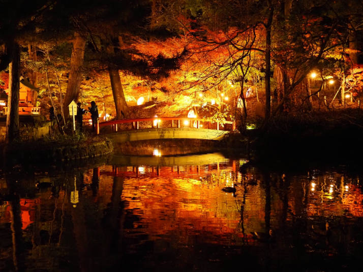 間々田八幡宮の幻想的な和傘飾りの風景