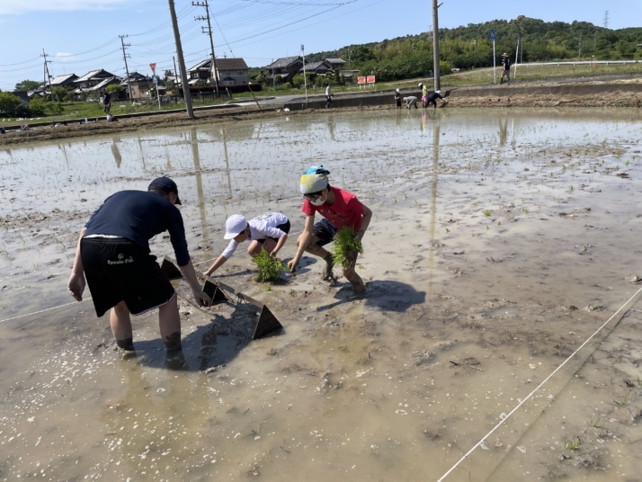 箕面自由学園小学校のふるさと体験