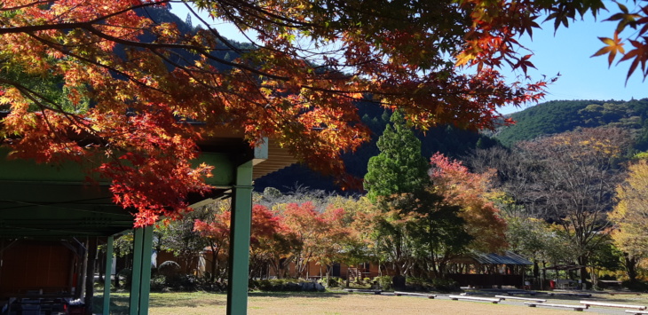 静岡県掛川市の「ならここの里キャンプ場」での紅葉の様子