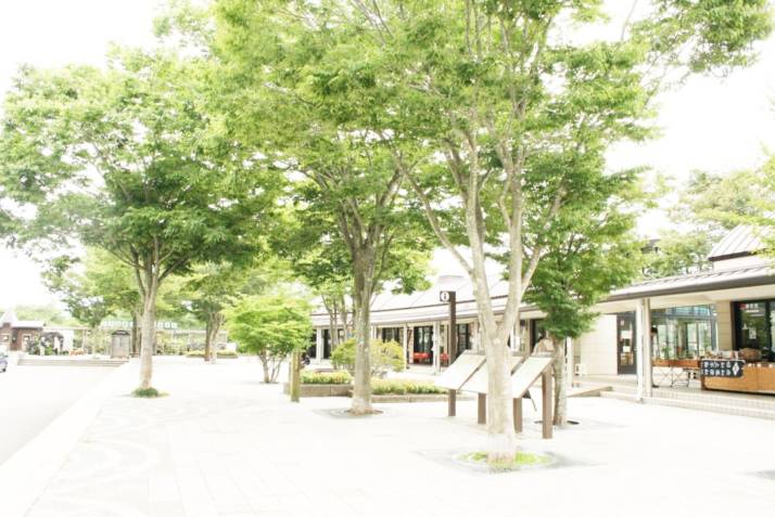 「道の駅なるさわ」の敷地内