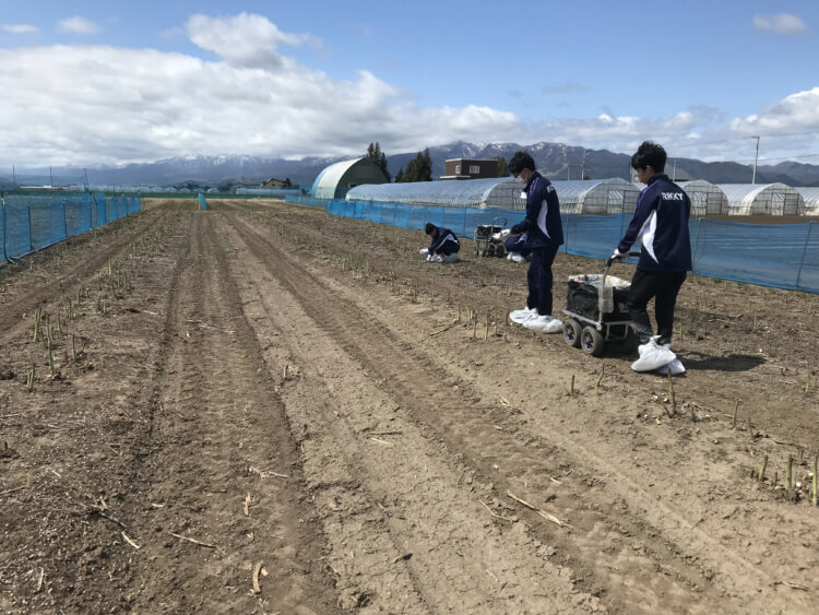 立教新座中学校・高等学校の中学校の修学旅行の様子