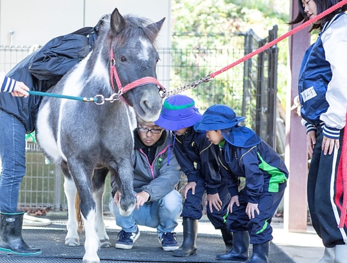 専門家から家畜について学ぶ東京農業大学稲花小学校の児童たち