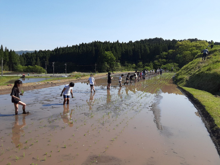 追手門学院小学校の児童が田植えするようす