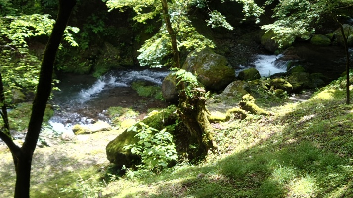 埼玉県秩父市の「秩父 彩の国キャンプ村」の敷地内を流れる川を上から見下ろす