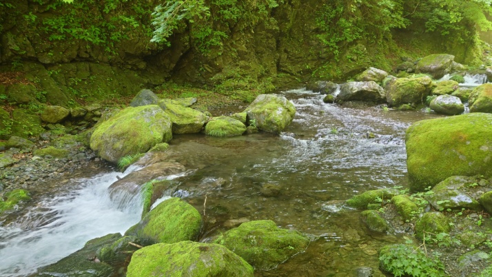 埼玉県秩父市の「秩父 彩の国キャンプ村」の敷地内を流れる川を眺める