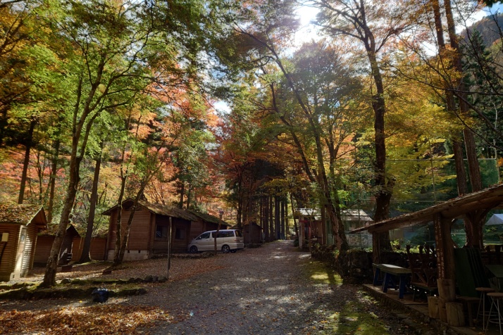 埼玉県秩父市にある「秩父 彩の国キャンプ村」内の木々が紅葉する様子