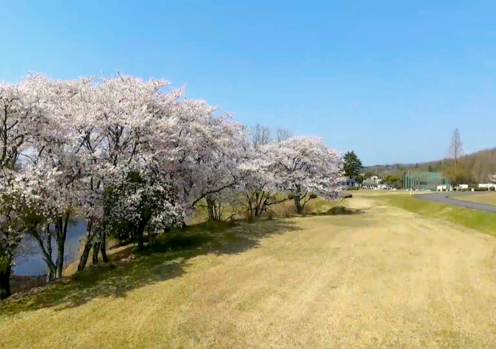 桜丘中学校・高等学校の校内