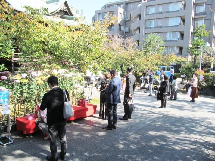 桜神宮における七五三詣の参拝客