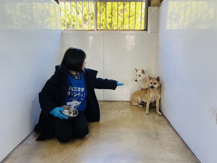 「広島三育学院中学校・高等学校」の社会貢献活動風景